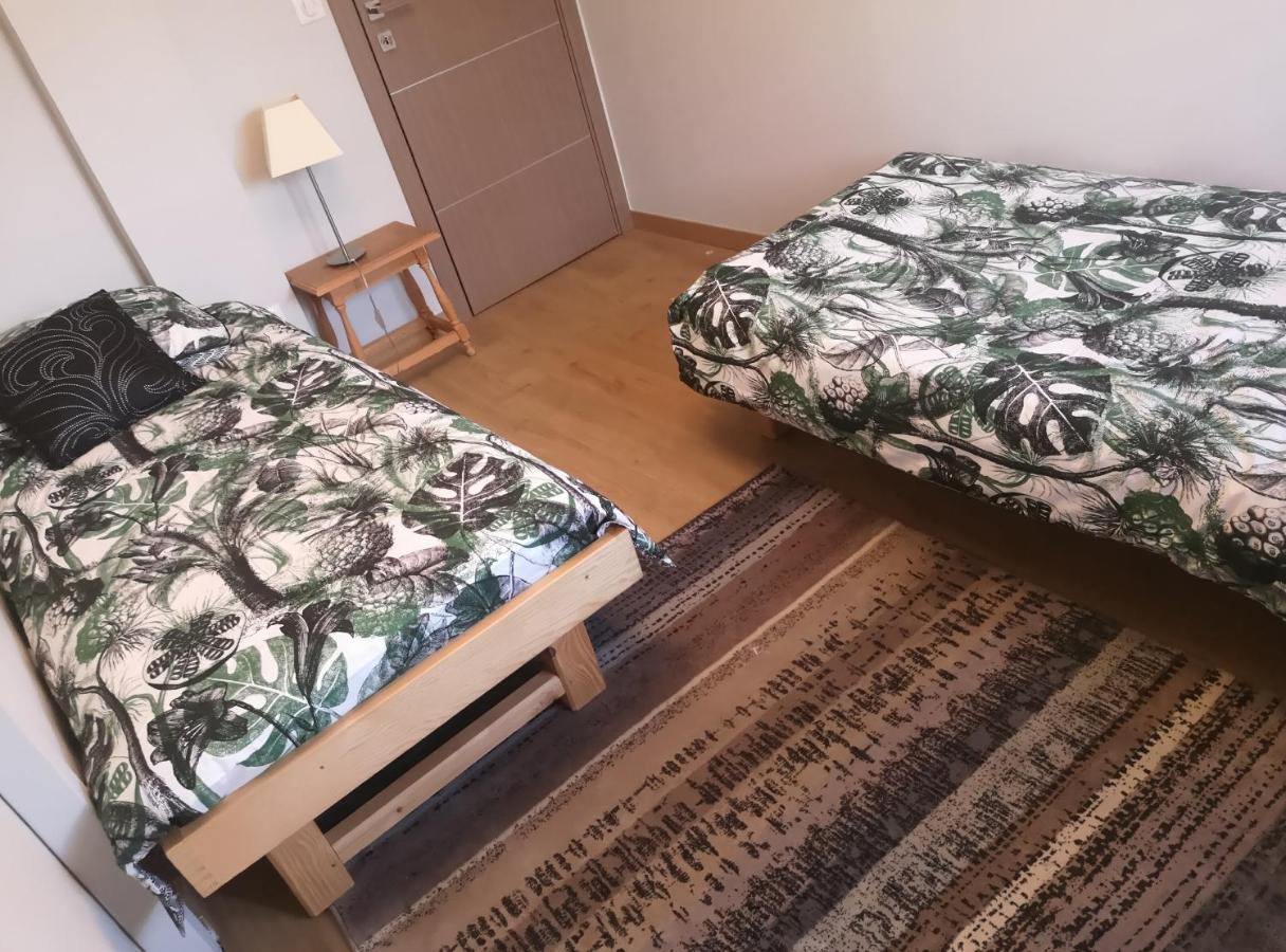 Appartement Meuble Tout Confort Scionzier エクステリア 写真