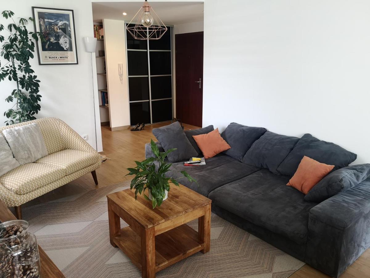 Appartement Meuble Tout Confort Scionzier エクステリア 写真